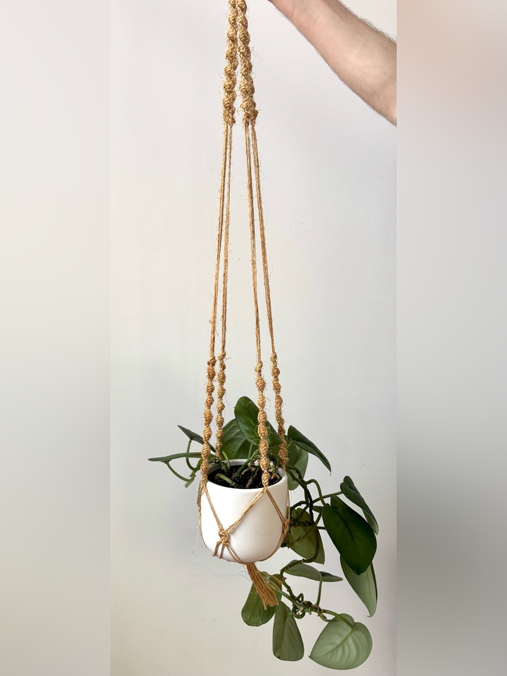 Jute macrame plant hanger